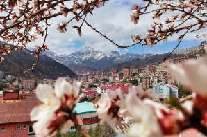 Bu fotoğraflar sosyal medyaya damga vurdu