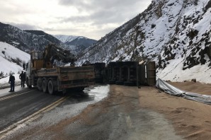 Zigana dağında buğday yüklü tır devrildi: 1 yaralı