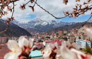 Bu fotoğraflar sosyal medyaya damga vurdu