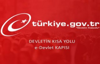 Torul Belediyesi E-Devlet Uygulamasında