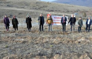 Gümüşhane’nin ilk kapama kuşburnu bahçesi Kelkit’e...