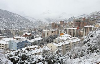 Gümüşhane’de kar yağışı