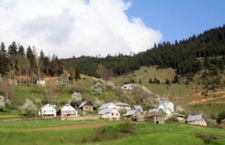 Gümüşhane’de bir mahalle karantinaya alındı