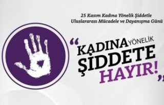 Kadına Yönelik Şiddete Karşı Uluslararası Mücadele...