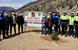 Gümüşhane’de Polis Haftası kapsamında fidan...