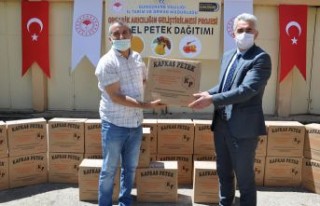 Gümüşhane’de organik arıcılığa 1 ton temel...