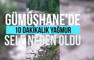 Gümüşhane’de 10 dakika süren dolu ve yağmur...