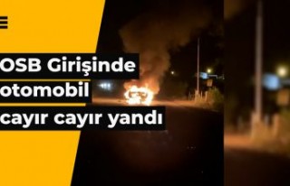 Gümüşhane’de otomobil cayır cayır yandı