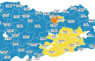 Bu tablo Gümüşhane'ye hiç yakışmadı!