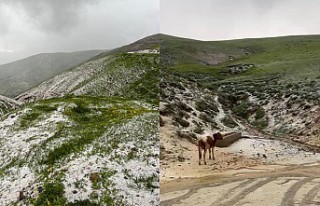 Gümüşhane’de dolu yağışı yüksekleri beyaza...