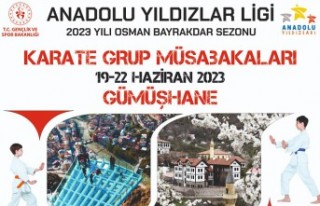 Karate grup müsabakaları Gümüşhane'de