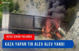 Kaza yapan tır alev alev yandı