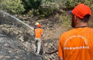 Gümüşhane'de iki köyde yangın paniği