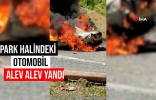 Gümüşhane’de park halindeki otomobil alev alev...