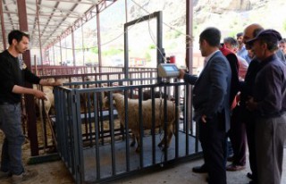 Hem besici hem vatandaş umduğunu bulamadı