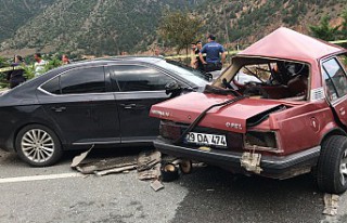 Gümüşhane feci kaza: Karı koca hayatını kaybetti