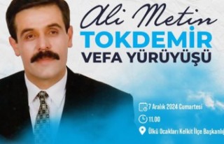 Tokdemir’in vefatının 29. Yılında anılacak