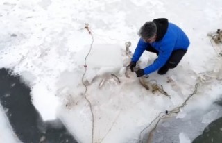 Gümüşhane'de Eskimo usulü balık avı