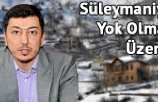 Demir'den Süleymaniye Veryansını