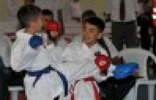 Türkiye Minikler Karate Şampiyonası