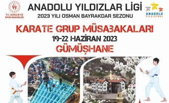 Karate grup müsabakaları Gümüşhane'de