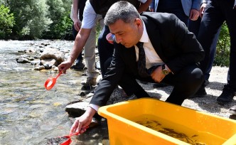 Gümüşhane’de derelere alabalık salındı