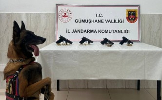 Kazıkbeli Yaylası’nda 4 ruhsatsız tabanca ele geçirildi