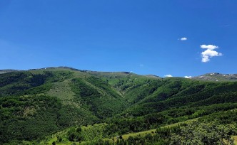 Şiran'daki deprem korkuttu