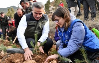 Gümüşhane’de binlerce fidan toprakla buluştu