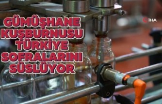 Gümüşhane Kuşburnusu Türkiye’nin sofralarını süslemeye devam ediyor