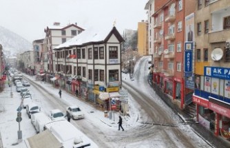 Gümüşhane’de kar yağışı etkili oldu