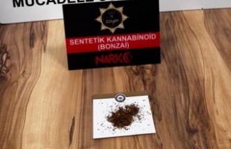 Gümüşhane’de bonzai ele geçirildi