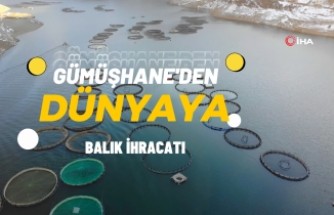 Denizi olmayan Gümüşhane’den dünyaya balık ihracatı