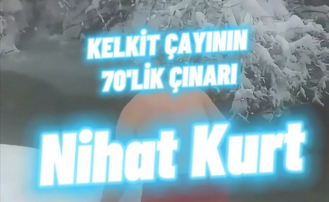 Kelkit Çayı’nın dondurucu sularında yüzen 70’lik çınar