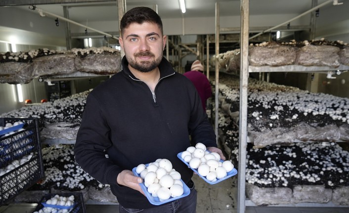 Genç girişimci mantar üretim tesisiyle kentin mantar ihtiyacını karşılıyor