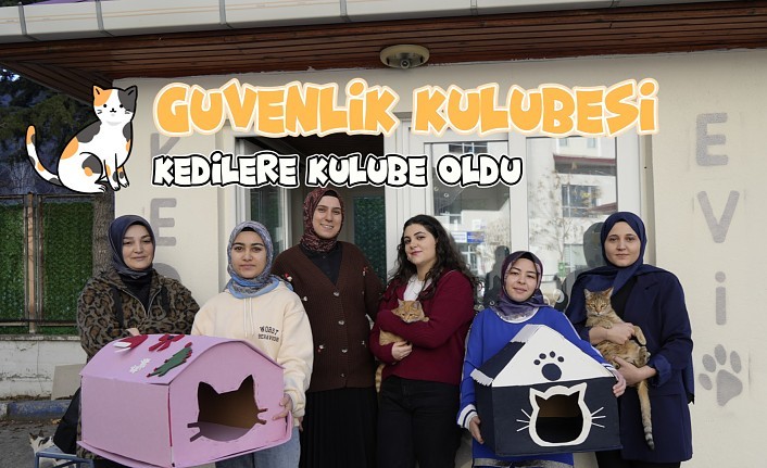 Gümüşhane'deki öğrenci yurdunun güvenlik kulübesi kedilere yurt oldu