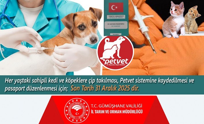 Kedi ve köpekler 31 Aralık tarihine kadar kimliklendirilecek