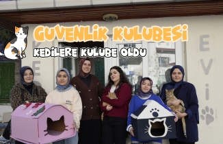 Öğrenci yurdunun güvenlik kulübesi kedilere yurt oldu