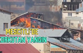 Gümüşhane’deki yangında 2 evin çatısı ve 1 ambar kül oldu