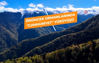 Gümüşhane’nin doğa harikası Örümcek Ormanları'nda Cumhuriyet yürüyüşü